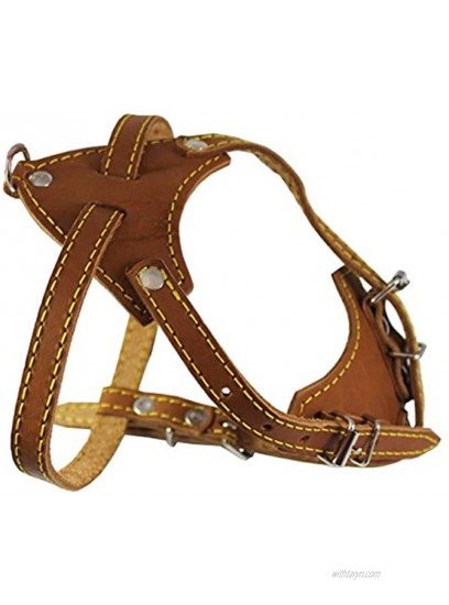 Genuine Leather Dog Harness 16.5-20 Chest Size 1 2 Wide Boston Terrier