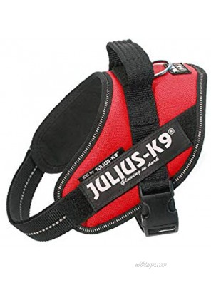 Julius-K9 16IDC-R-M IDC Powerharness dog harness Size: Mini Red