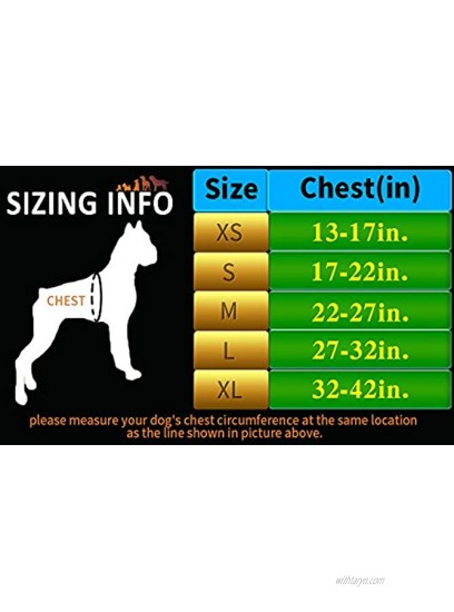 juxzh Truelove Soft Front Dog Harness .Best Reflective No Pull Harness with Handle and 2 Leash Attachments