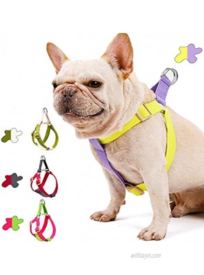 Muttitude Harness and Leash Set Two Tone Adjustable Heavy Duty Walking Harness for Small Medium Large Breed Dogs