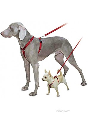PetSafe Sure-Fit Harness Adjustable Dog Harness from the Makers of the Easy Walk Harness