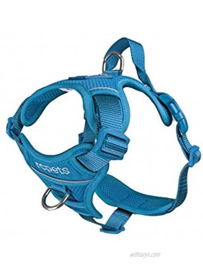RC Pet Products Momentum Dog Harness