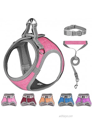 Small Dog Harness Puppy Harness Soft Dog Harness and Leash Set with a Reflective Collar for Small Dogs,Comfortable and Reflective Dog Vest Harness