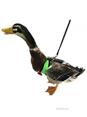 Yesito Chicken Harness Hen size With 6-foot Matching belt Adjustable elastic Comfortable Breathable Large Size Suitable for Chicken Duck or Goose Suitable for Weight about 4.9-6.8 Pounds Green