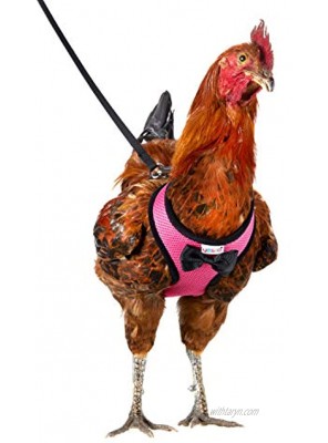 Yesito Chicken Harness Hen Size with 6-Foot Matching Belt Comfortable Breathable Small Size Suitable for Chicken Duck or Goose Suitable for Weight About 2.3-3.8Pounds Green