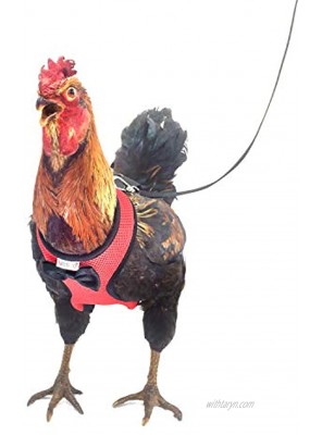 Yesito Chicken Harness Hen Size with 6-Foot Matching Leash – Adjustable Resilient Comfortable Breathable Small Suitable for Chicken Weighing About 3.0Pound ,red